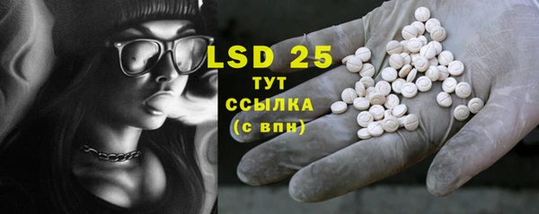 мдпв Болотное