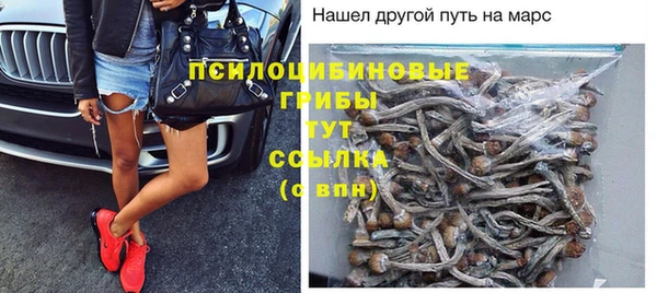 PSILOCYBIN Алексеевка