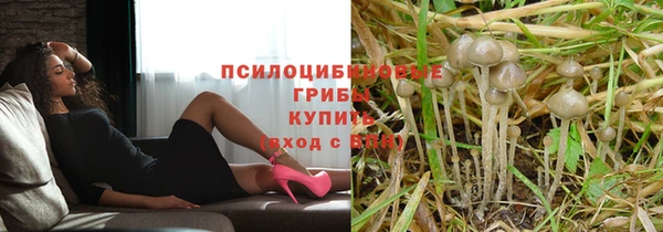 прущая мука Болохово