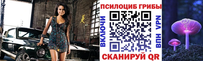 Псилоцибиновые грибы Magic Shrooms Бугуруслан